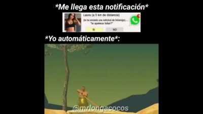 Pq no hay flair de shitpost?