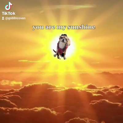 I only got 6 years with her. I've never felt more loved by another living creature in my whole life. Thank you for sharing your life with me, Diana Banana