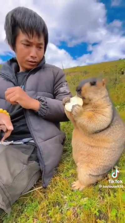 Sometimes, a warming smile of friendship in this video is all that it takes to know.... even wild animals can be peacefully loving. 