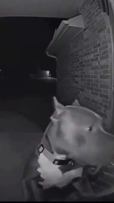 Hey who locked the door? I just went out to pee