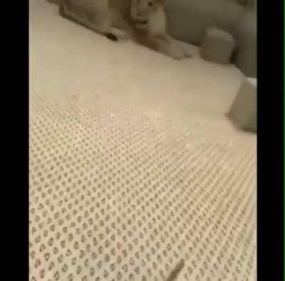 Welcome To The Gulag