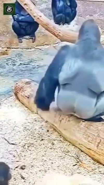 Little brat is asking for it