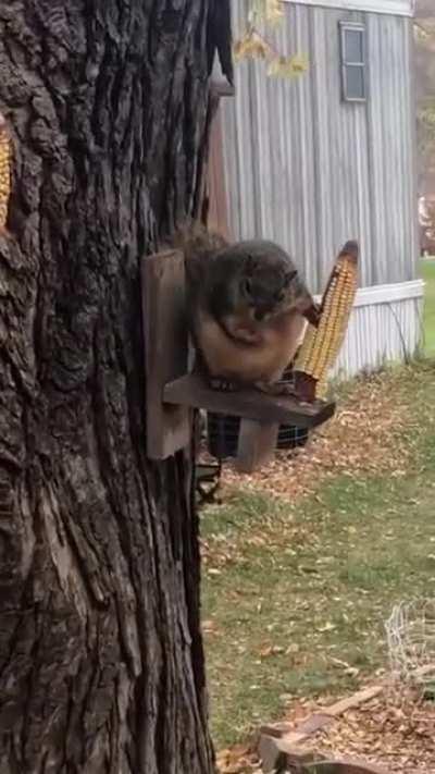 Don't yell at your brother, Gilbert! He's your brother, you have to take care of your brother!