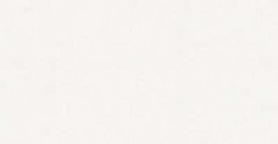 LibLeft does a peaceful protest