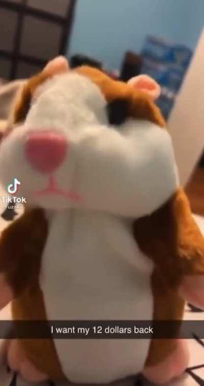 the uhhhhh the toy ummmmmmm