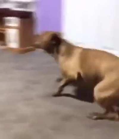 Trying turning it off & turning it back on.