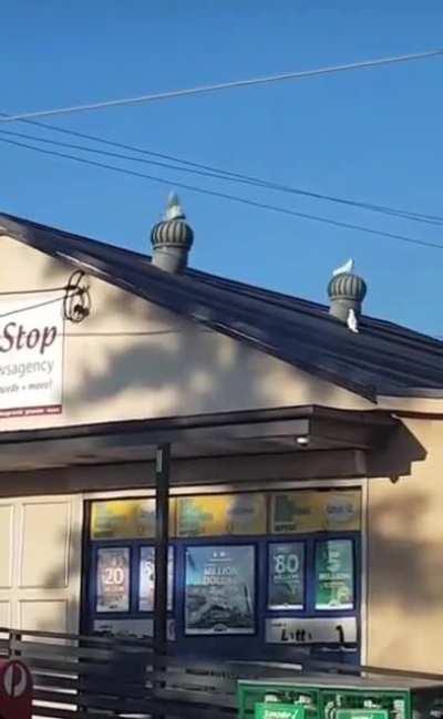 Spinning 😵‍💫