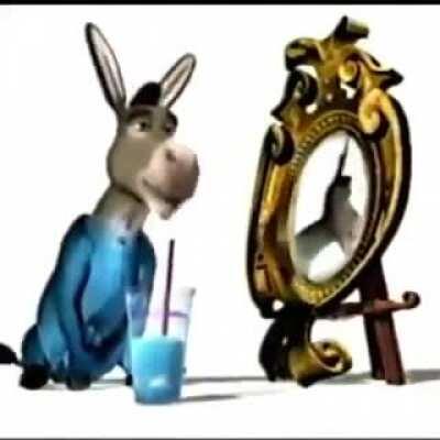 11 year old me getting radicalized after watching SJW cringe compilations in between rounds of call of duty