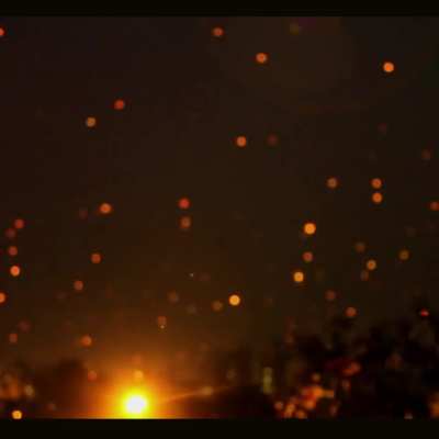 Kite or Fight. - Cõs