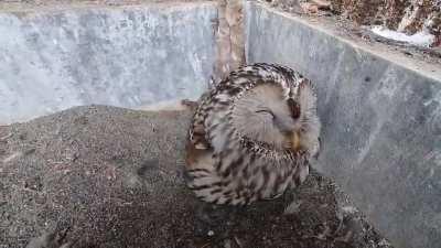 Finding that sweet spot…