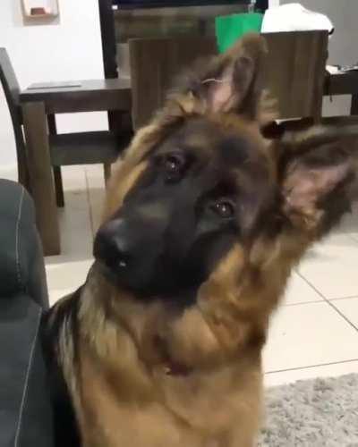 I hope you like this song