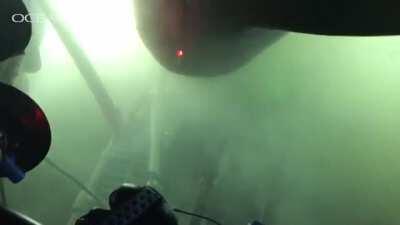 🔥 massive deep sea shark checking out a mini sub, and it’s crew.