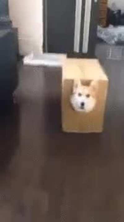 Did someone call me?