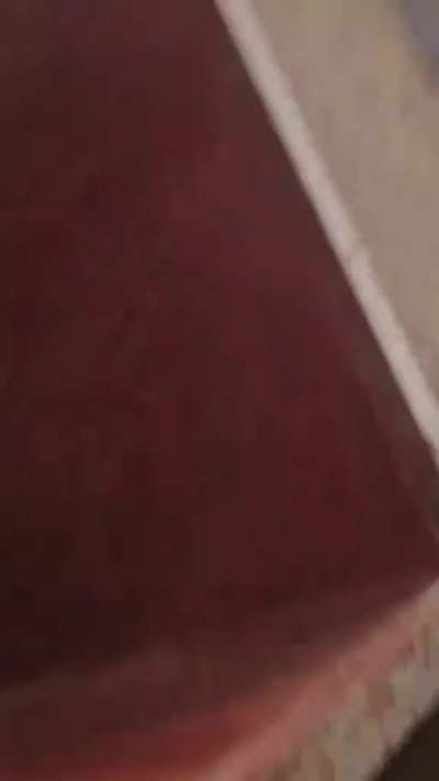 A rhinoceros relocation goes wrong. And of all days, on World Rhinoceros Day.