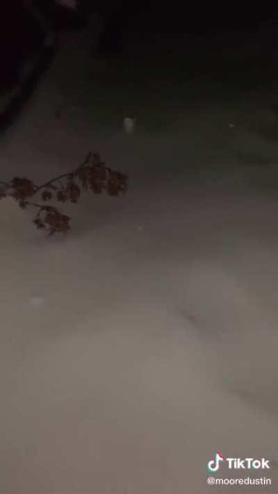 Going for a joy ride