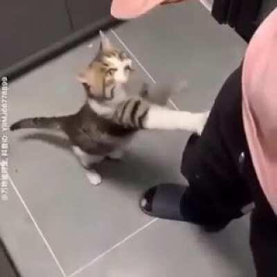 ㅤㅤㅤㅤㅤㅤㅤㅤㅤㅤㅤㅤㅤㅤㅤㅤㅤㅤㅤㅤㅤㅤㅤㅤㅤㅤㅤㅤㅤㅤ