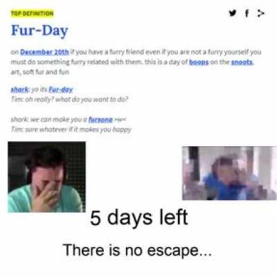 on December 20th if you have a furry friend even if you are not a furry yourself you must do something furry related with them. This is a day of boops on the snoots, art, and soft fur fun!