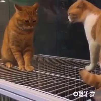 When your mom scolds you