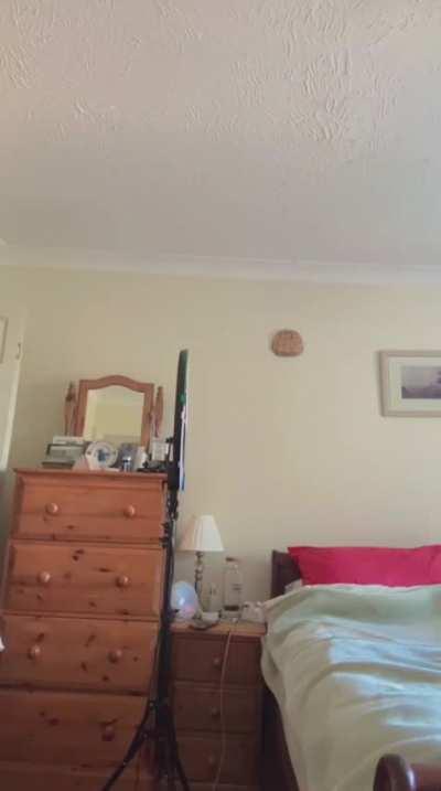 I guess I'm the only one 