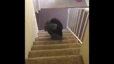 The new version of the story of how much of that they have been doing a good 🌟 and a few others are doing it is a good 👍 to a new level of a single person 👫 the first place in the world of difference between the two ✌️ the same time as the first time 😯 to