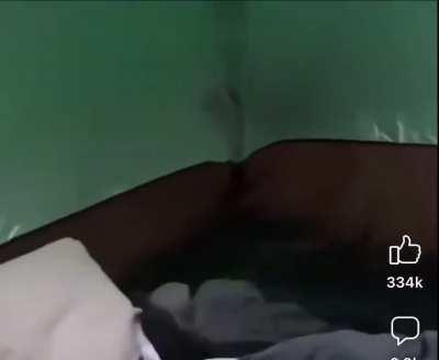 I would defecate in your pants if this happened to me