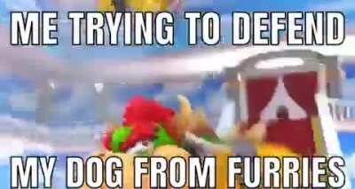 Always watch out for your pets. You never know when a furry will strike!!!