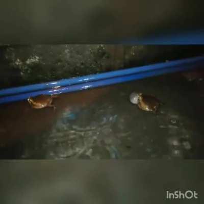 Uste no puede decir eso