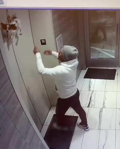 Just gonna wait for the Elevator