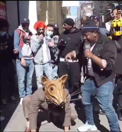 Rats in this sub be like: