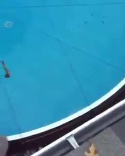 Top muertes mas tristes de anime