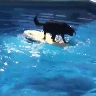 I'll get it, I'll get it