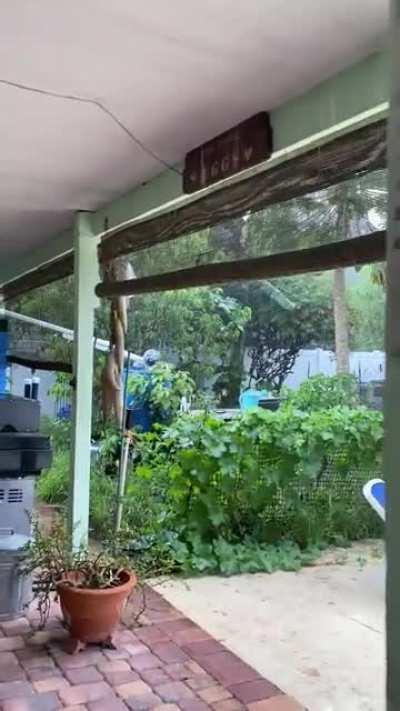 It came out of no where & scared the cat when it started….