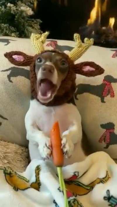 Happy Christmas 🎄