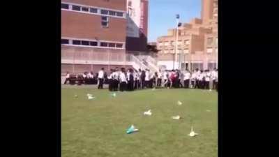 My verdict? it stinks