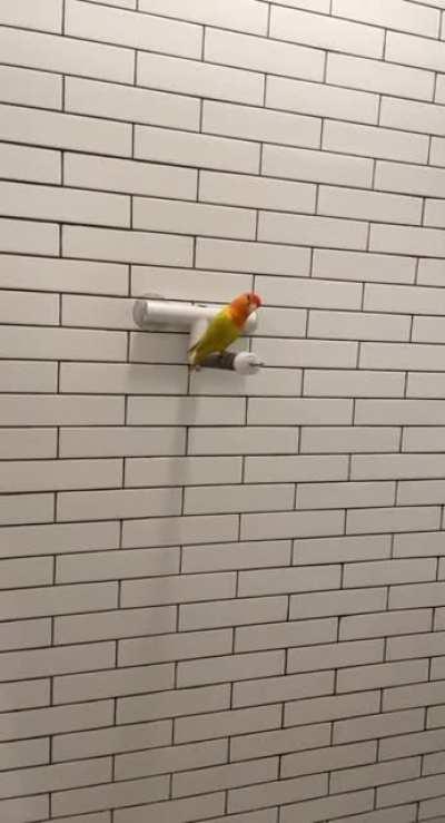 I was getting ready for a night out and find this 🤣