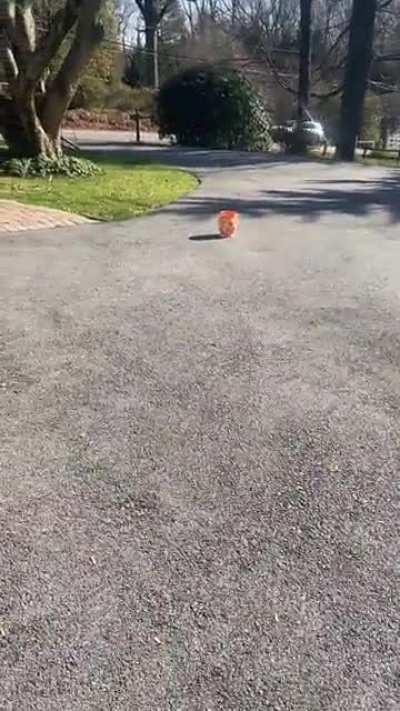 When see pot in golden trophy