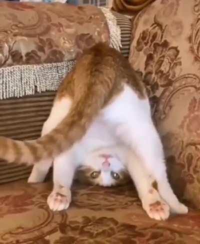 Different perspective...