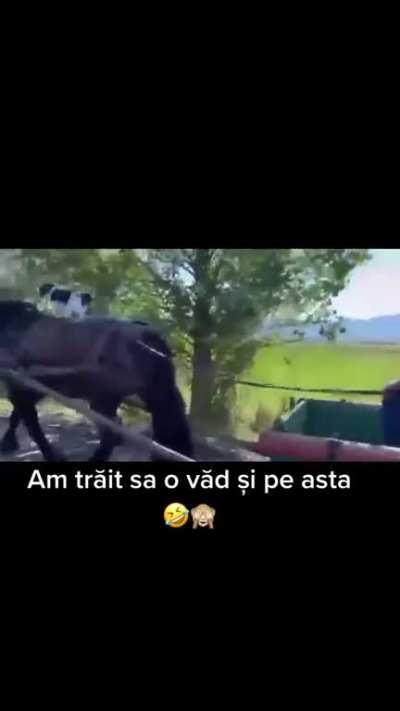 Balkan's Electric car alternative. With AutoPilot.