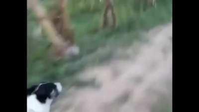 Aquele exercício matinal