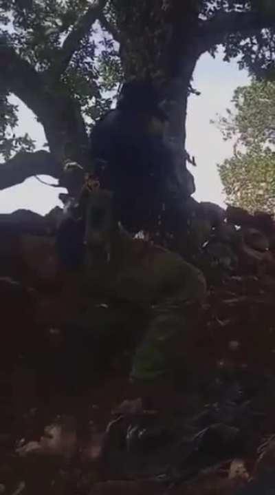 Zacatecas; alleged confrontation in the area from this weekend, El Jardineros people (CJNG) film themselves shoot