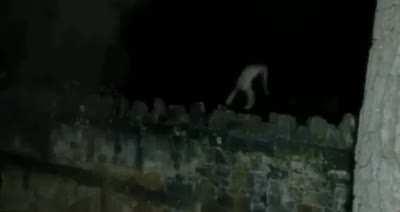 Naked guys jumping like frogs. In the middle of the night