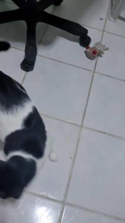 The noise he makes when he lands 