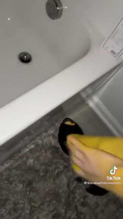 Ok, time to stop using TikTok