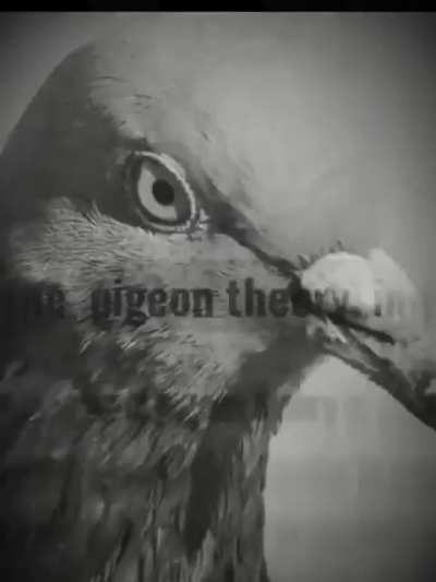 They're watching your every move.