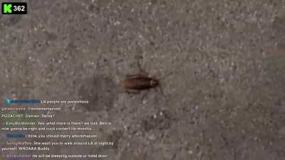 Streamer girl steps on bug after a bad date in anger