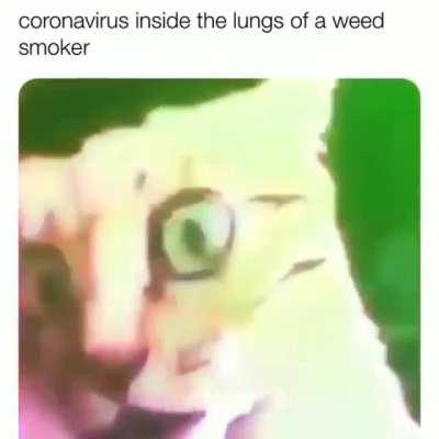 Cat really vibin there