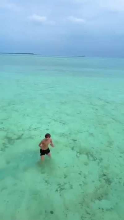 i don't think they were impressed