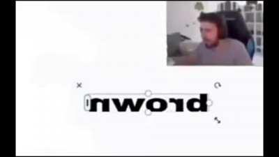 Shitposting compilation de webadas :)