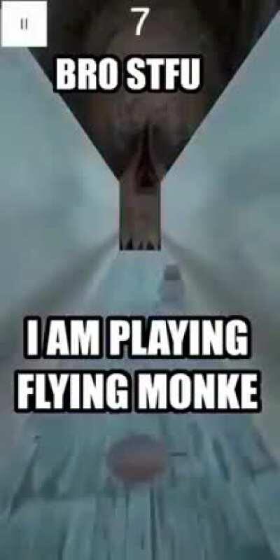 monkey