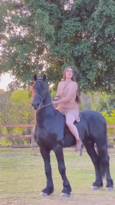 Fique calmo senhor cavalo